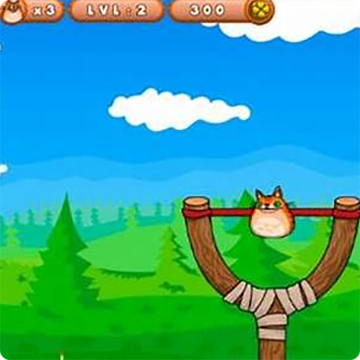 Angry Cat Shot